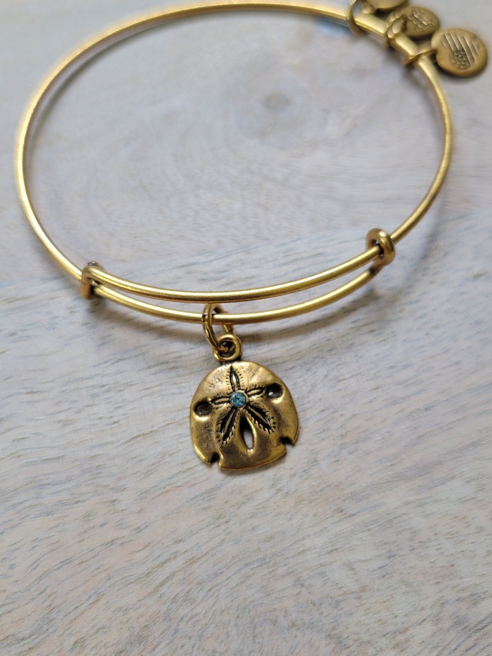 Alex And Ani Gold Sand Dollar Charm Bangle